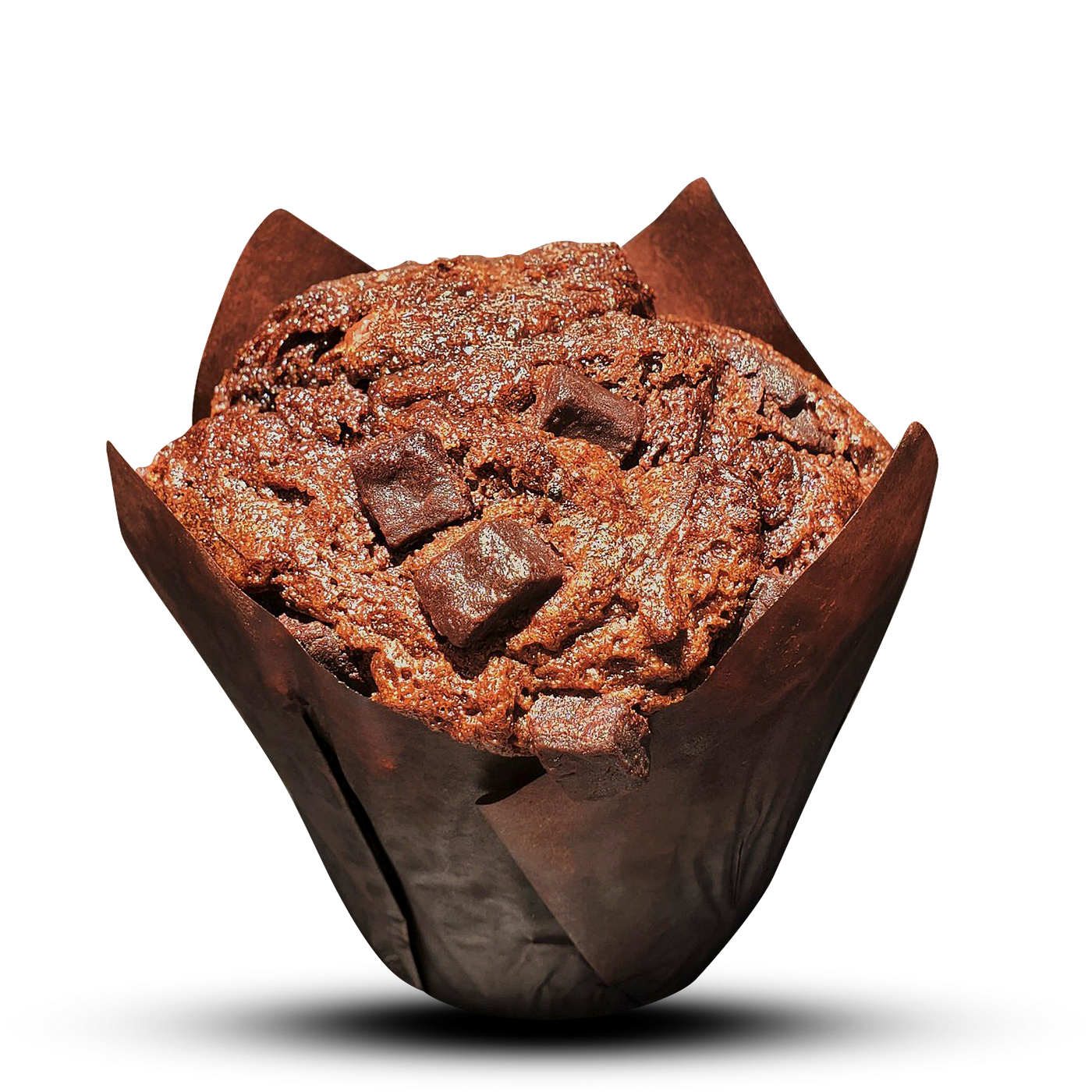 Chocolate Chunk Muffin